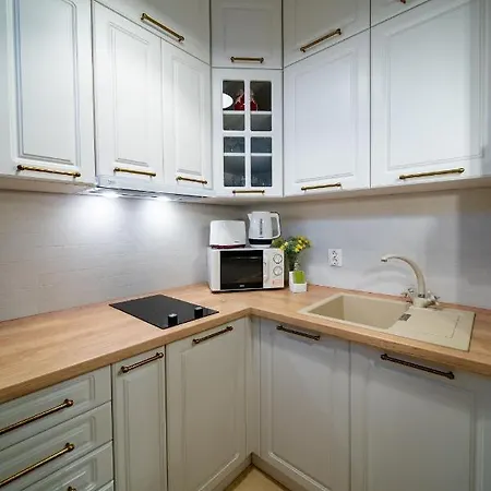 Central Harmony Apartment Odorheiu Secuiesc Esterno foto